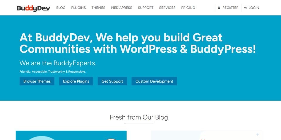 BuddyDev website